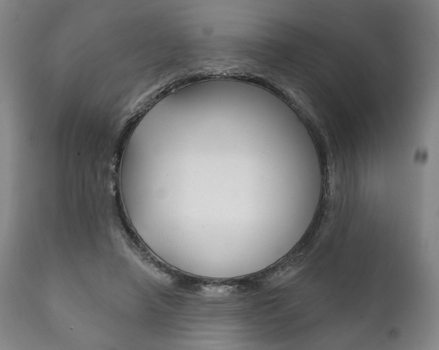 X0000111820450200907231029