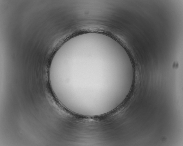 X0000111820453200907231029