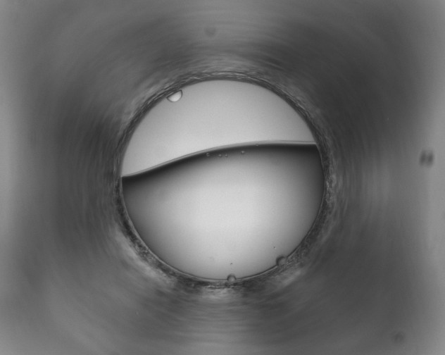 X0000111820454200907231029