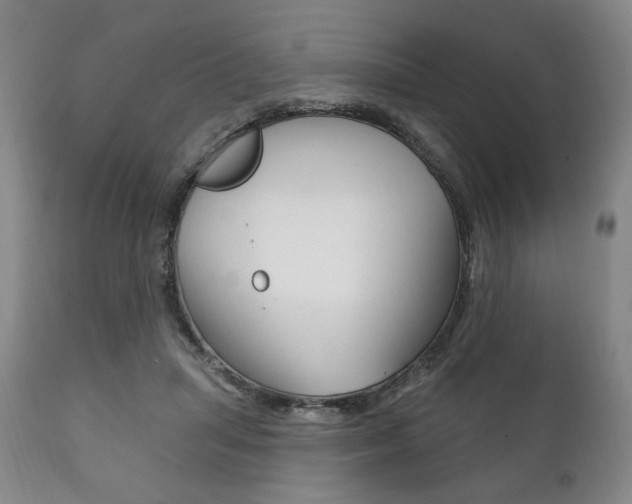 X0000111820455200907231029