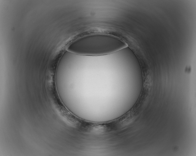 X0000111820456200907231029