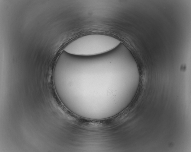 X0000111820458200907231029