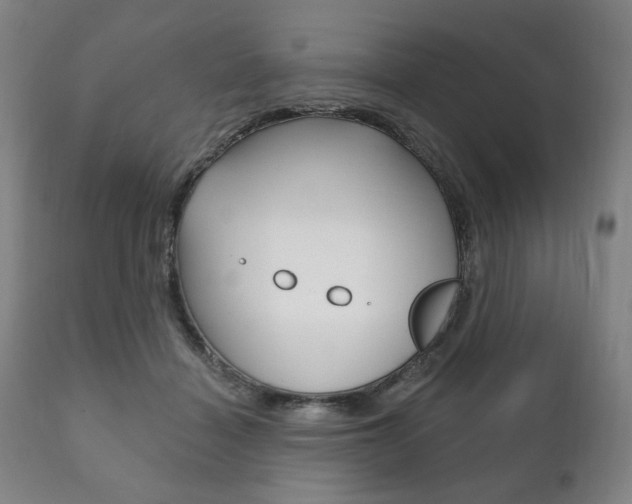 X0000111820460200907231029