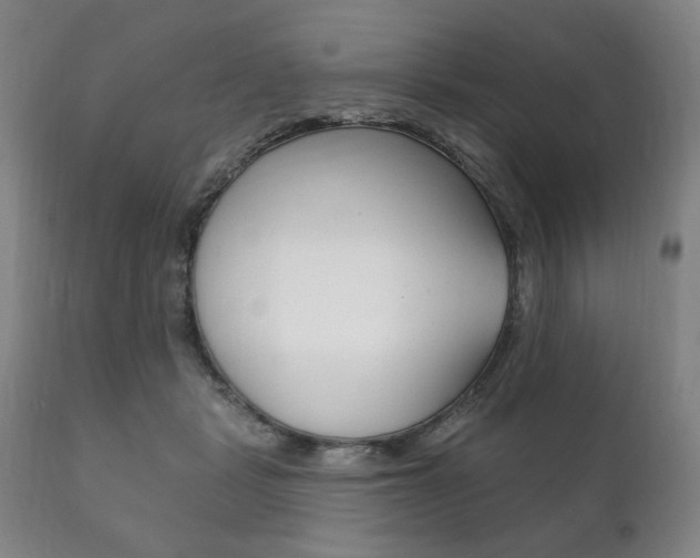 X0000111820461200907231029