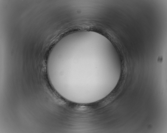 X0000111820467200907231029