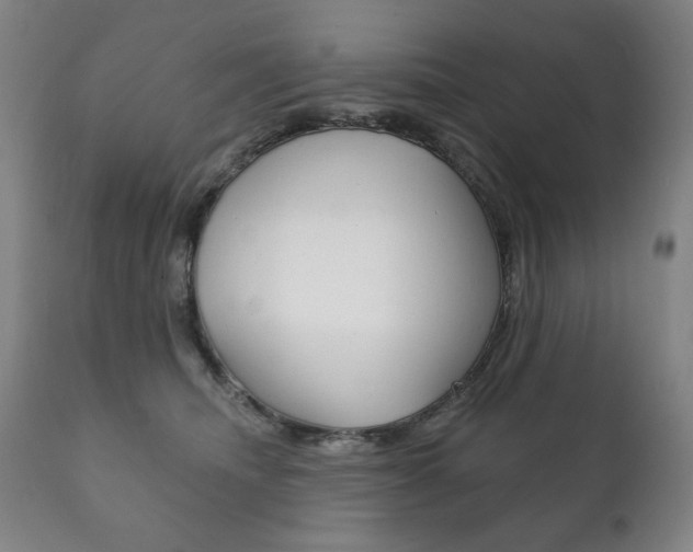 X0000111820468200907231029