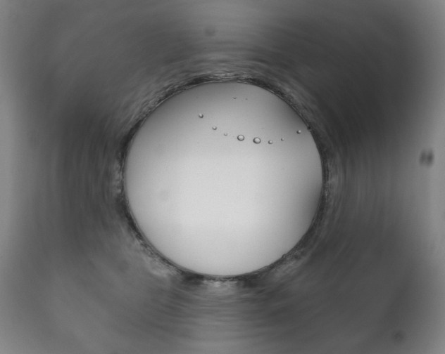 X0000111820469200907231029