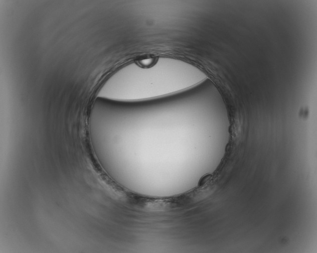 X0000111820470200907231029