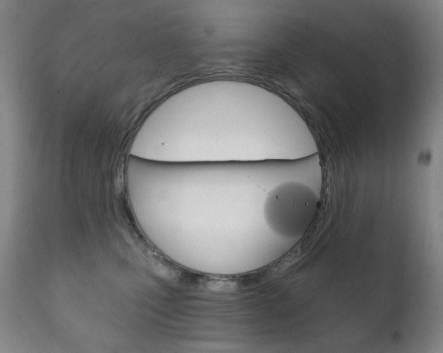 X0000111820471200907231029