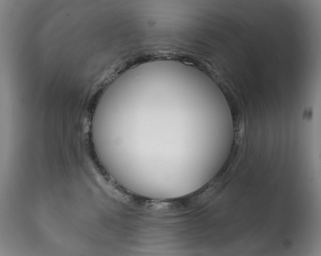 X0000111820472200907231029