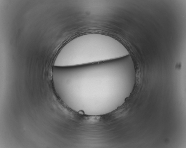 X0000111820474200907231029