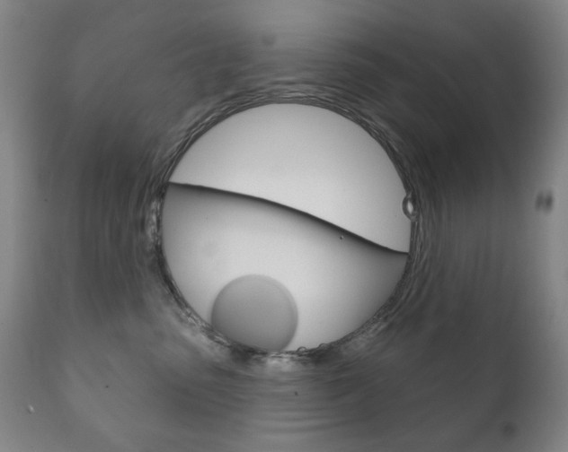 X0000111820475200907231029