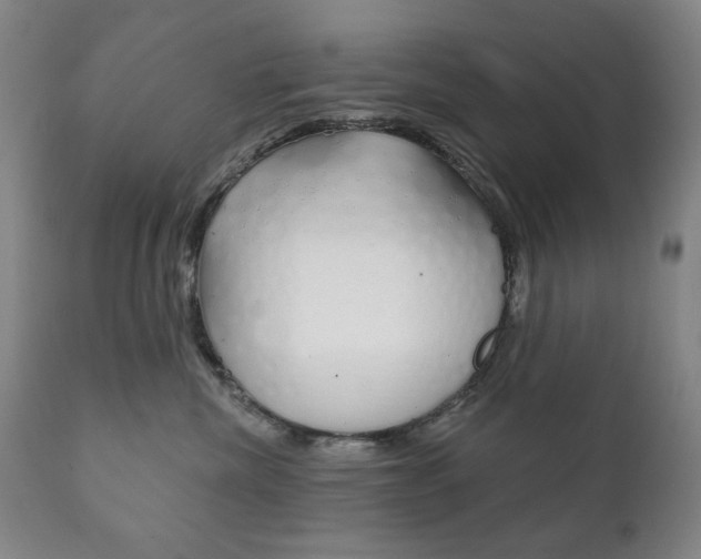 X0000111820476200907231029