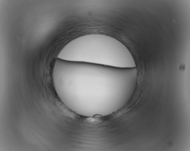 X0000111820477200907231029