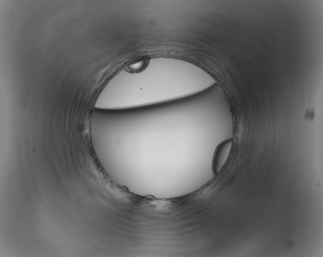 X0000111820478200907231029