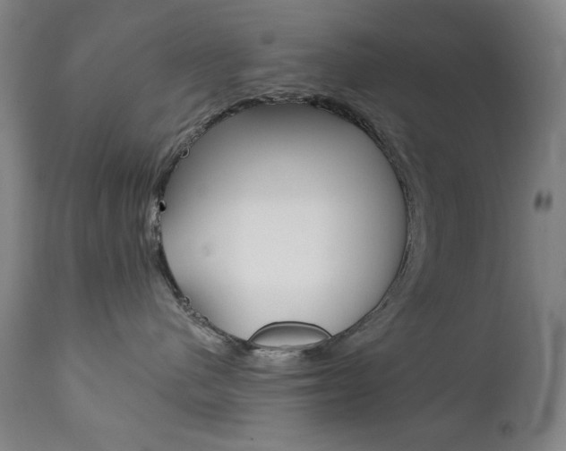 X0000111820480200907231029