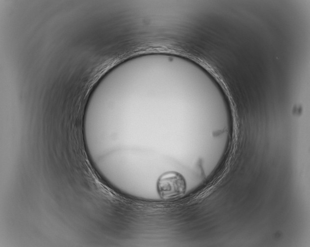 X0000111820481200907231028