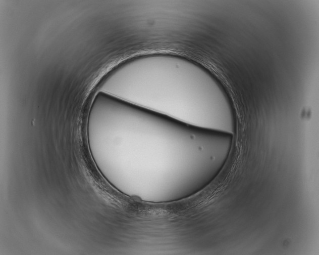 X0000111820483200907231028
