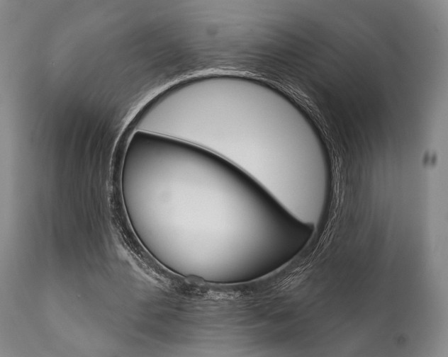 X0000111820484200907231028