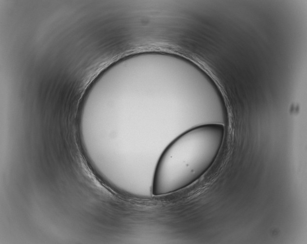 X0000111820485200907231028