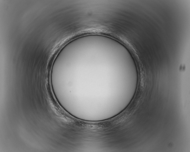 X0000111820486200907231028