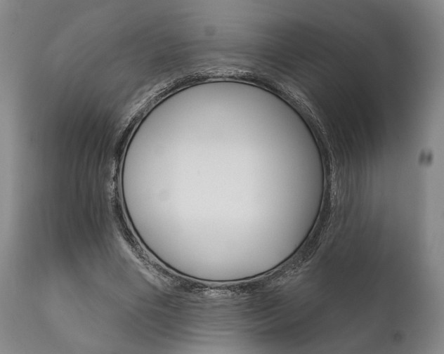 X0000111820490200907231028