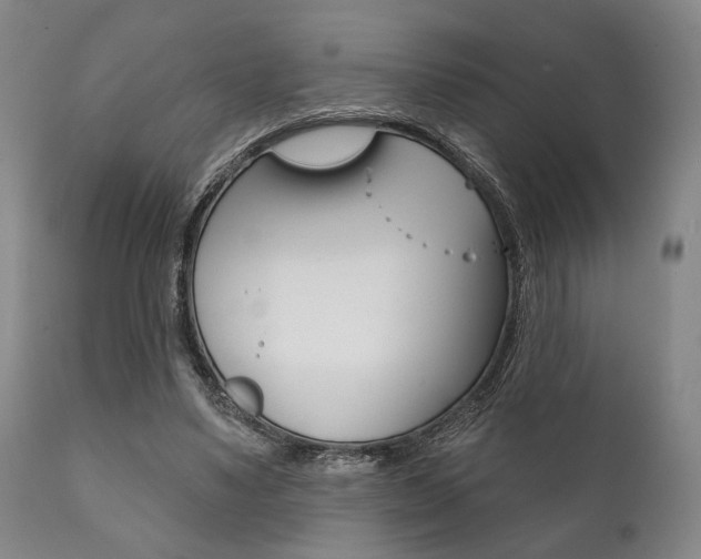 X0000111820491200907231028