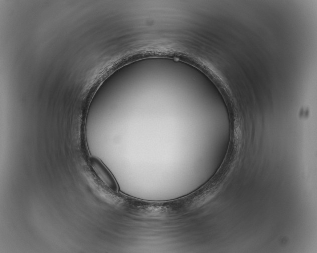 X0000111820493200907231028