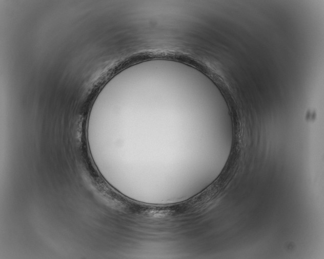 X0000111820495200907231028