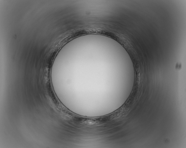 X0000111820498200907231028