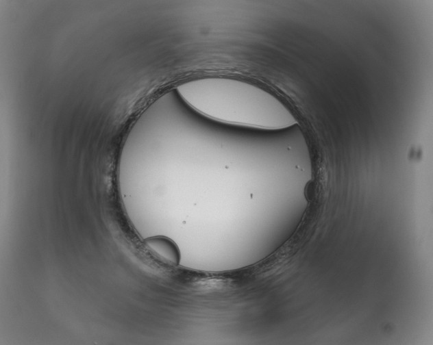 X0000111820499200907231028