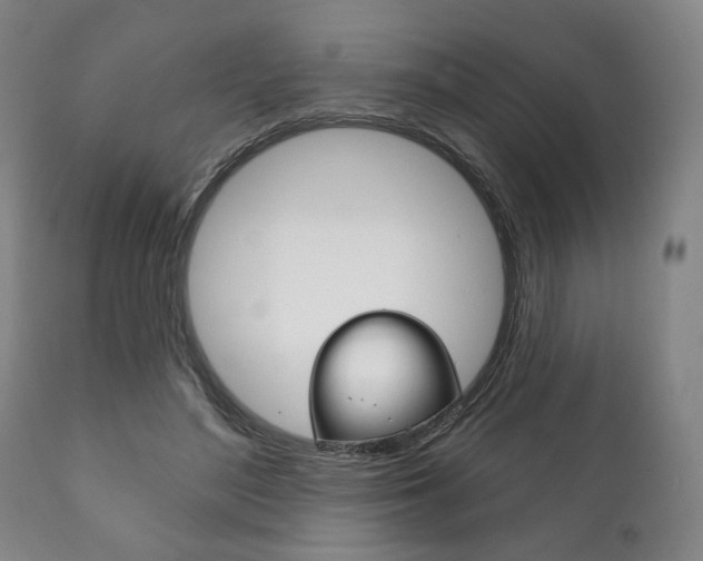 X0000111820500200907231028