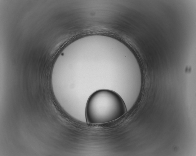 X0000111820501200907231028