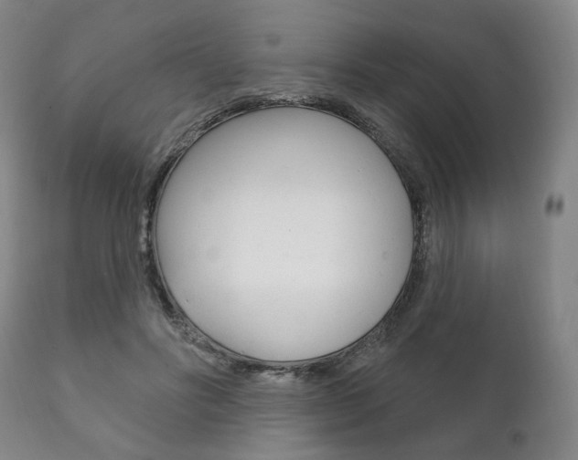 X0000111820502200907231028
