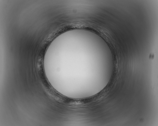 X0000111820503200907231028