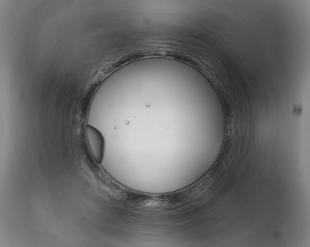 X0000111820504200907231028