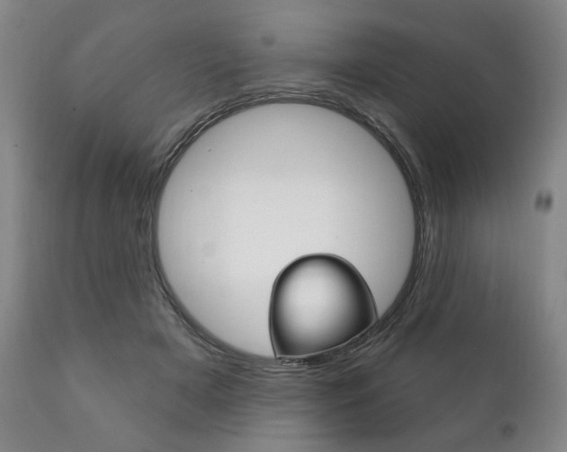 X0000111820505200907231028