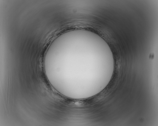 X0000111820506200907231028