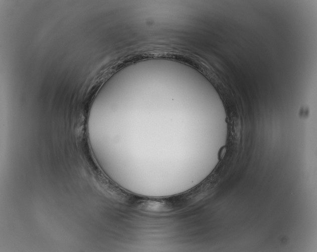 X0000111820507200907231028