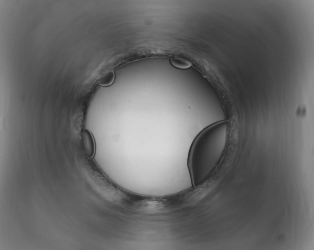 X0000111820509200907231028