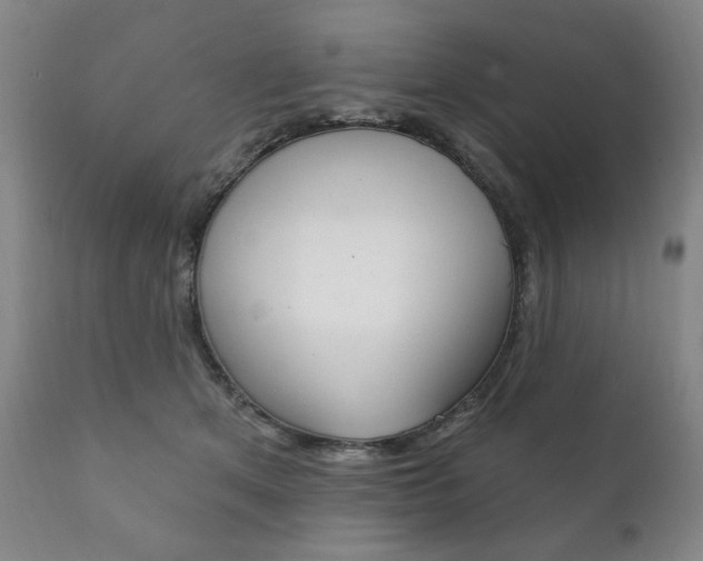 X0000111820513200907231028