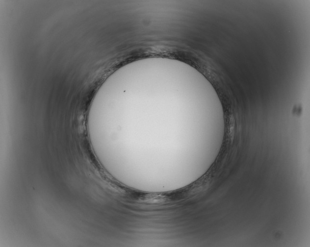 X0000111820514200907231027