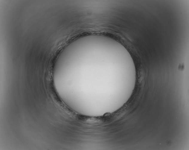 X0000111820515200907231027