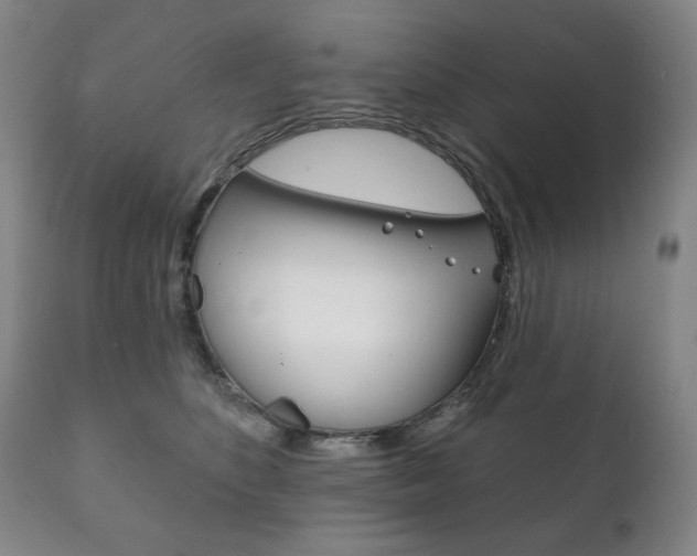 X0000111820516200907231027