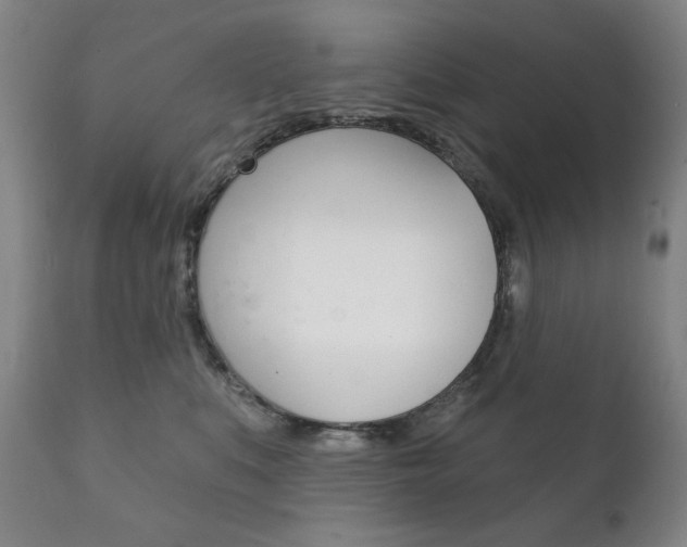 X0000111820519200907231027