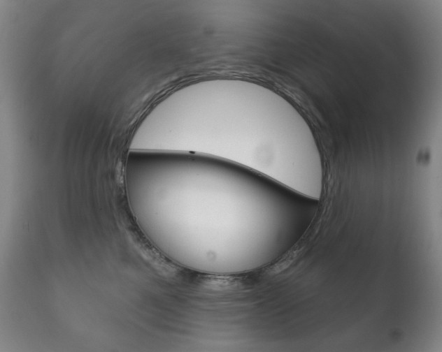 X0000111820521200907231027