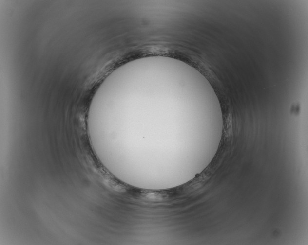 X0000111820522200907231027