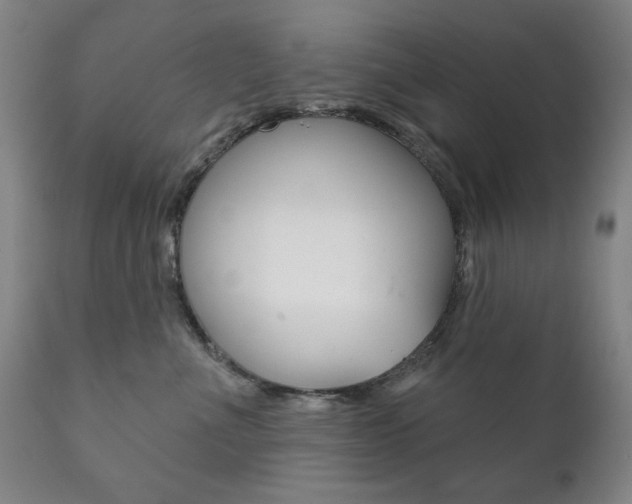 X0000111820523200907231027