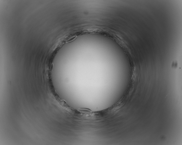 X0000111820524200907231027