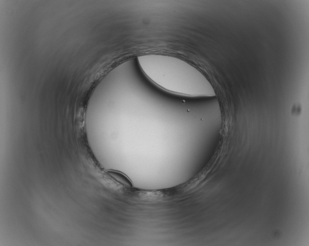 X0000111820525200907231027